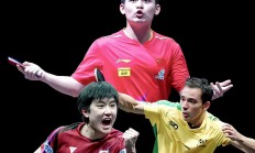 开云体育入口-比利时乒乓球队横扫瑞典乒乓球队，王皓惊艳世界的简单介绍