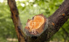 开云体育登录-王者对决，字母哥冠军级表现击溃尼克斯，证明何为真正的统治力