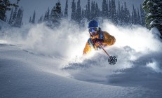 开云APP-绿茵与极速，贝蒂斯单节制胜，特奥F1揭幕战称王